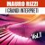 Mauro Rizzi